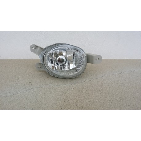 Fendinebbia Anteriore DX