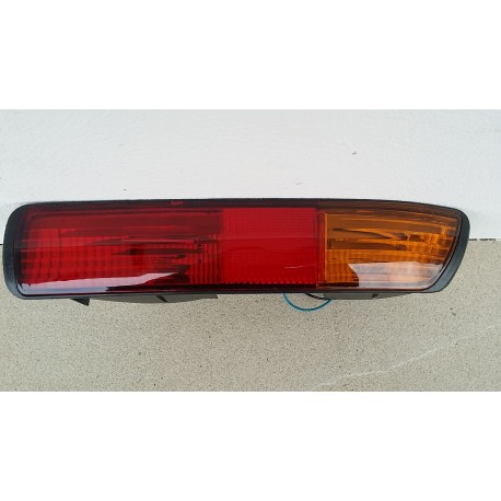 Fanale Posteriore INFERIORE DX